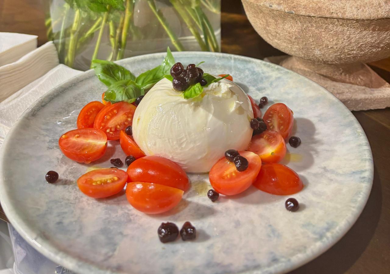 Fresh burrata with cherry tomatoes and basil